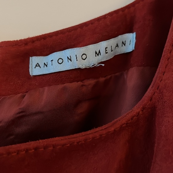 Antonio Melani Rust Red Dress in 100% Suede - Picture 5 of 14